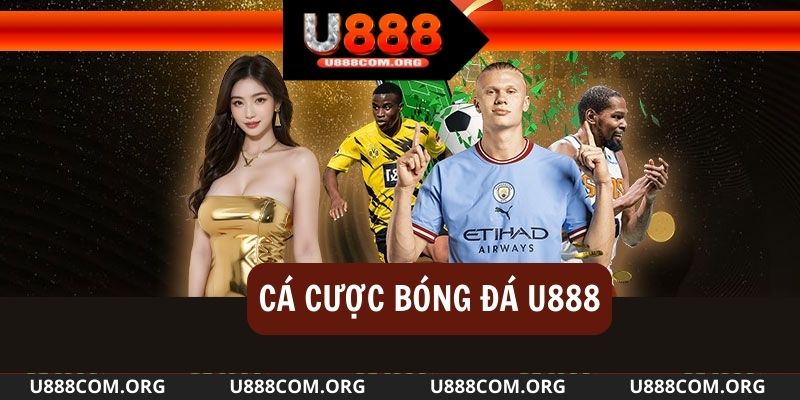 Cá cược bóng đá là siêu phẩm tại Thể thao u888