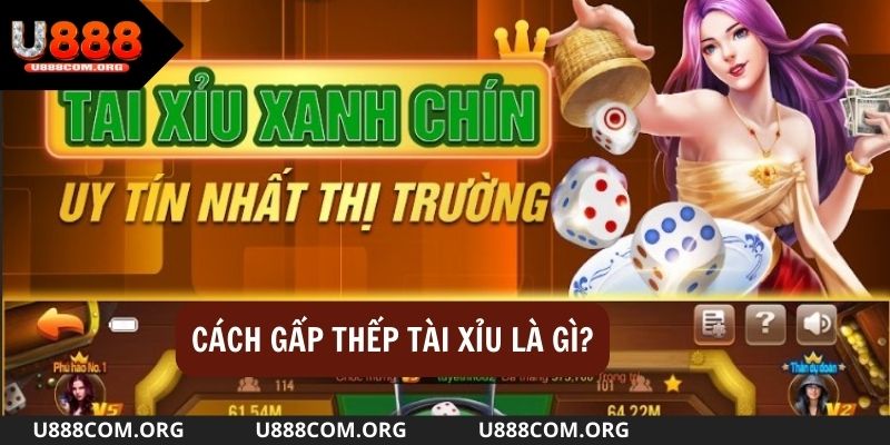 Tìm hiểu cách gấp thếp tài xỉu là gì?